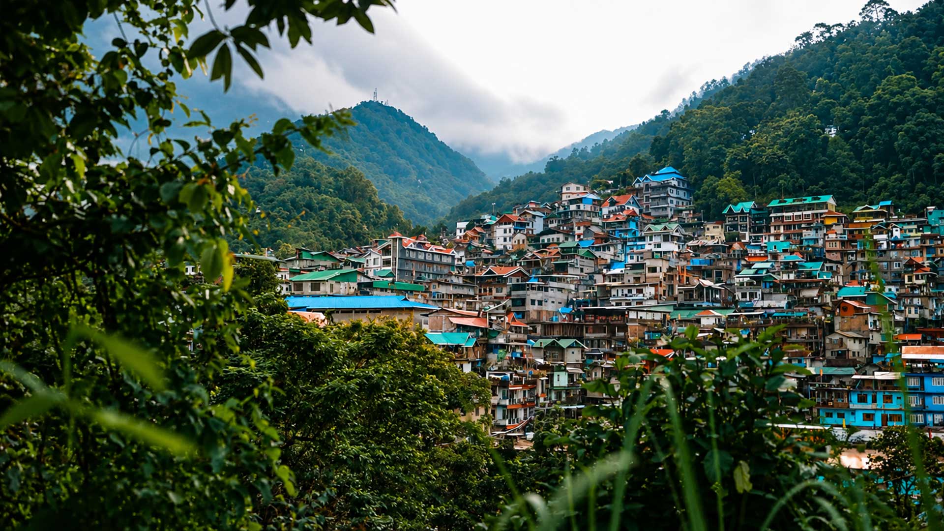Ventara Resort Darjeeling | Cinematic Short Film